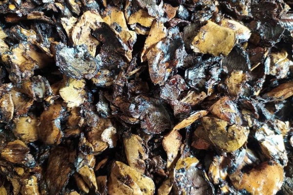 Cashew Nut Shell Cake (CNSC)