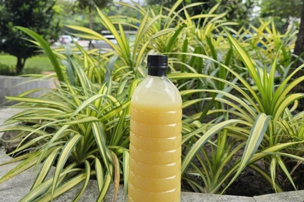 Feedstock (UCO, Fish Fat, Tallow)